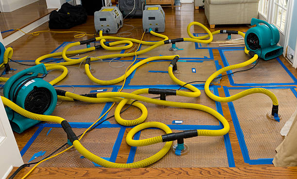 Professional Storm Water Damage Restoration technician working in Erie, KS